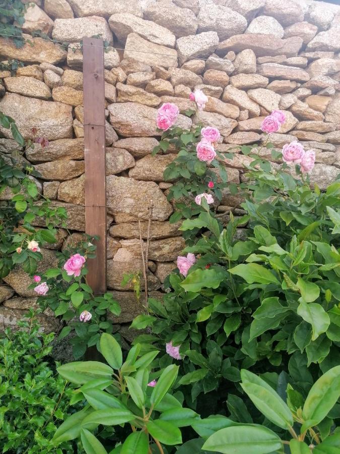 Rosas Da Granja - Casa De Campo Eksteriør bilde