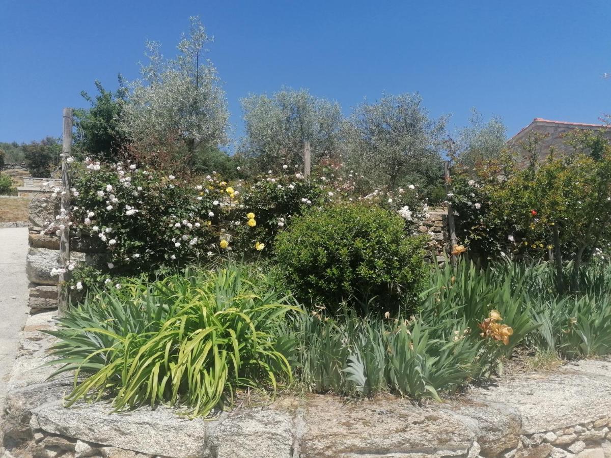 Rosas Da Granja - Casa De Campo Eksteriør bilde