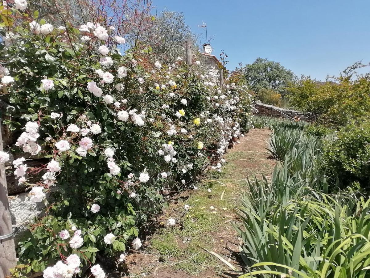 Rosas Da Granja - Casa De Campo Eksteriør bilde